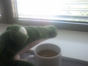 Kroko bei einer Tasse Kaffee schaut aus dem Fenster